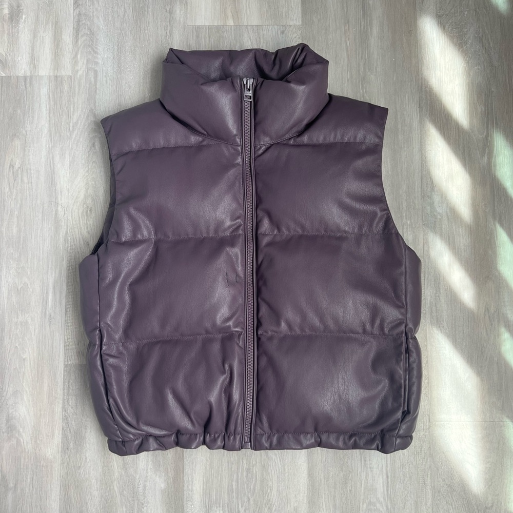 Wilfred Free Aritzia Vista Puffer coat